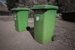 green bin